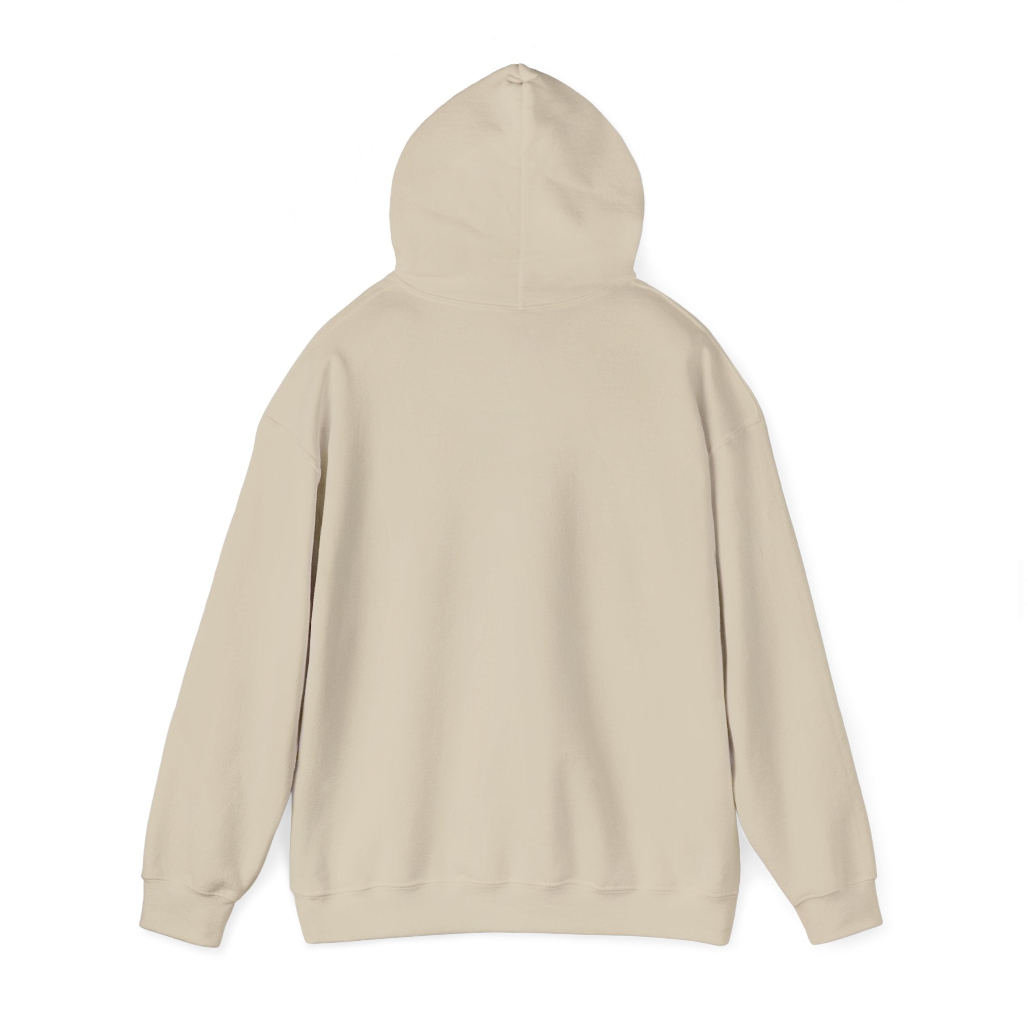 Stand Tall Through Storms Hoodie | Juneteenth Pan-African Freedom 1865