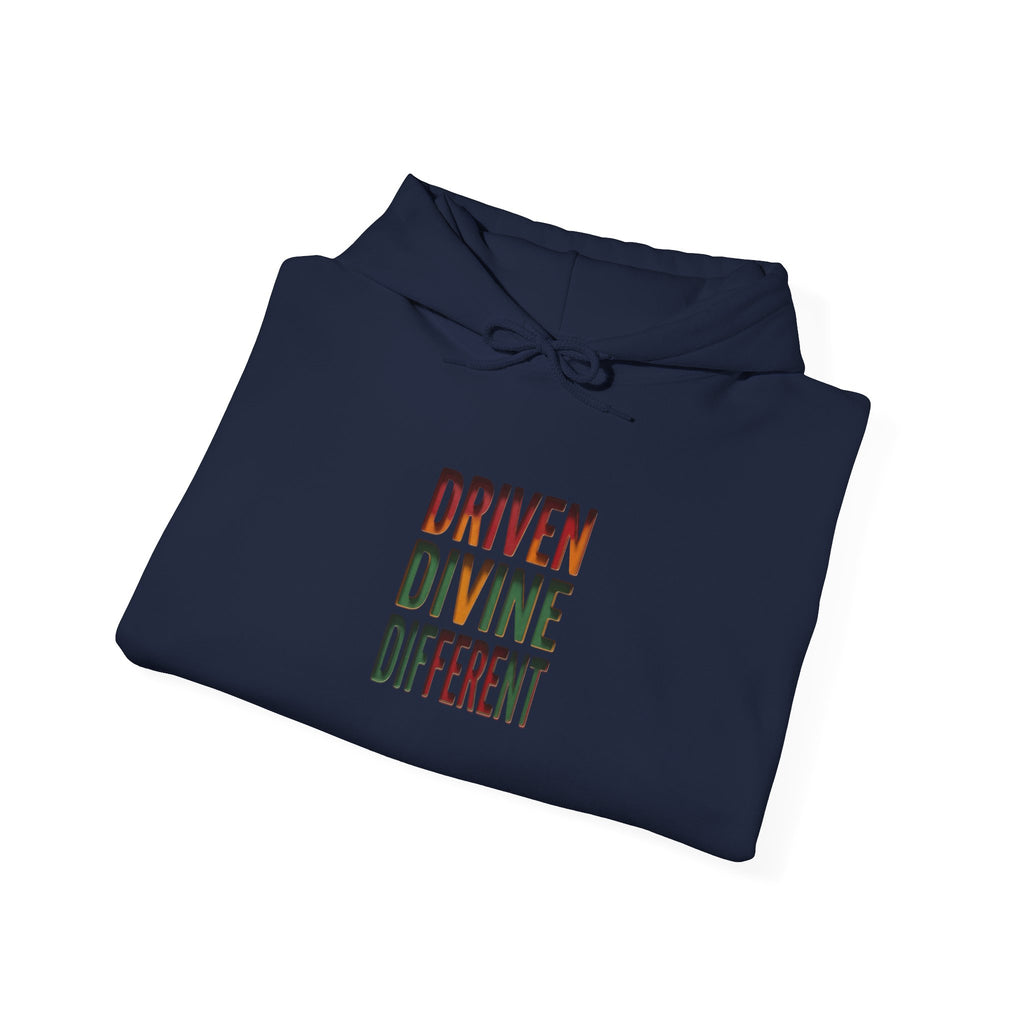 Driven Divine Different Hoodie | Juneteenth, Pan-African Colors