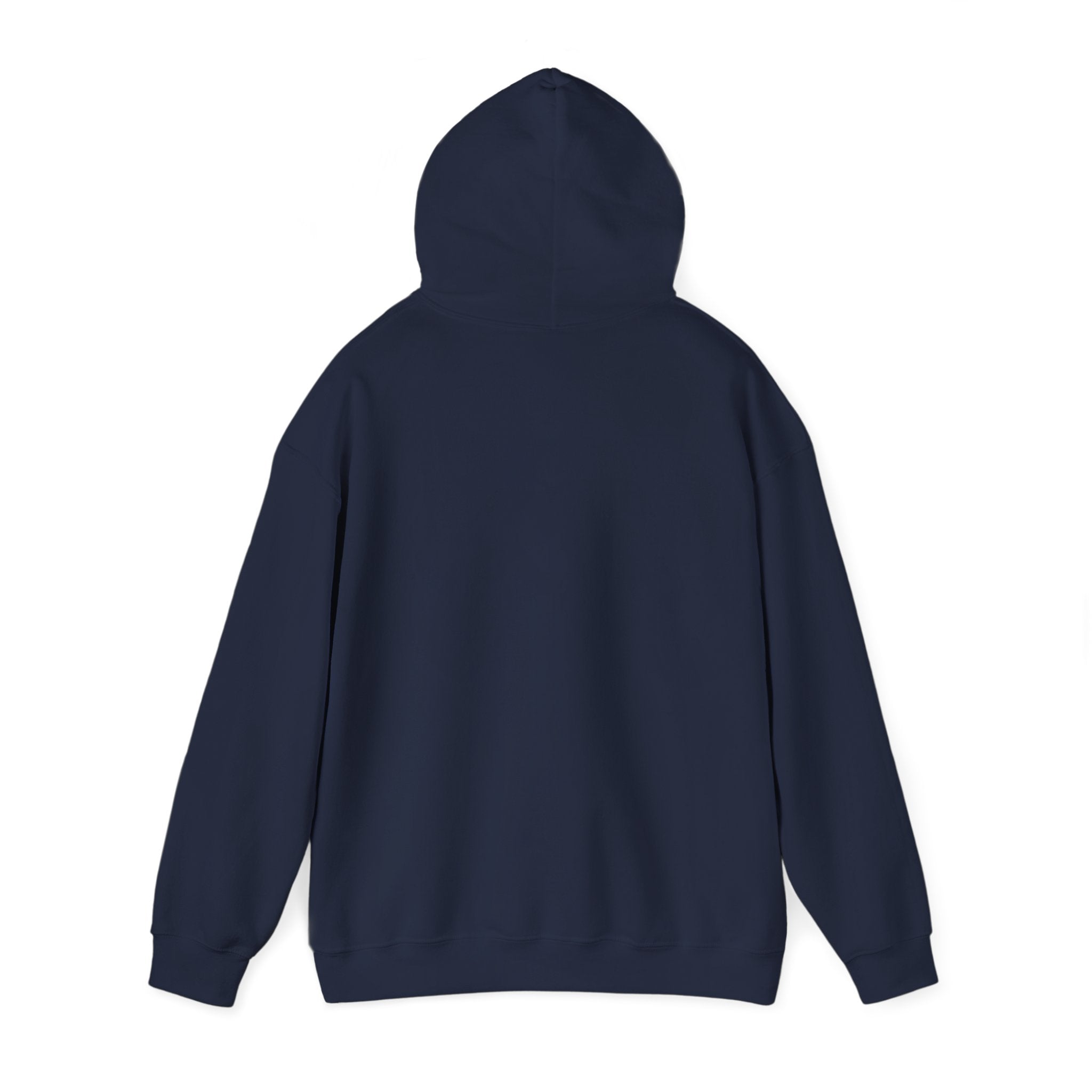 Elegant Fierce Fearless Hoodie | Juneteenth Black Pride, Pan-African Colors