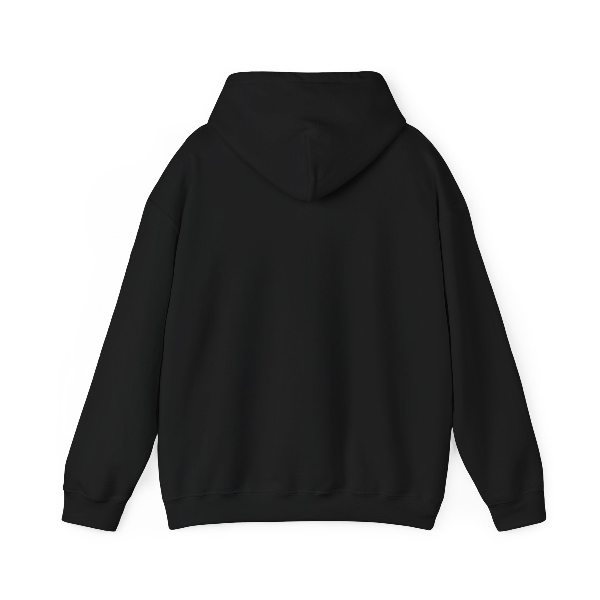 Bold Beautiful Unstoppable Hoodie | Juneteenth Pan-African 1865 Freedom