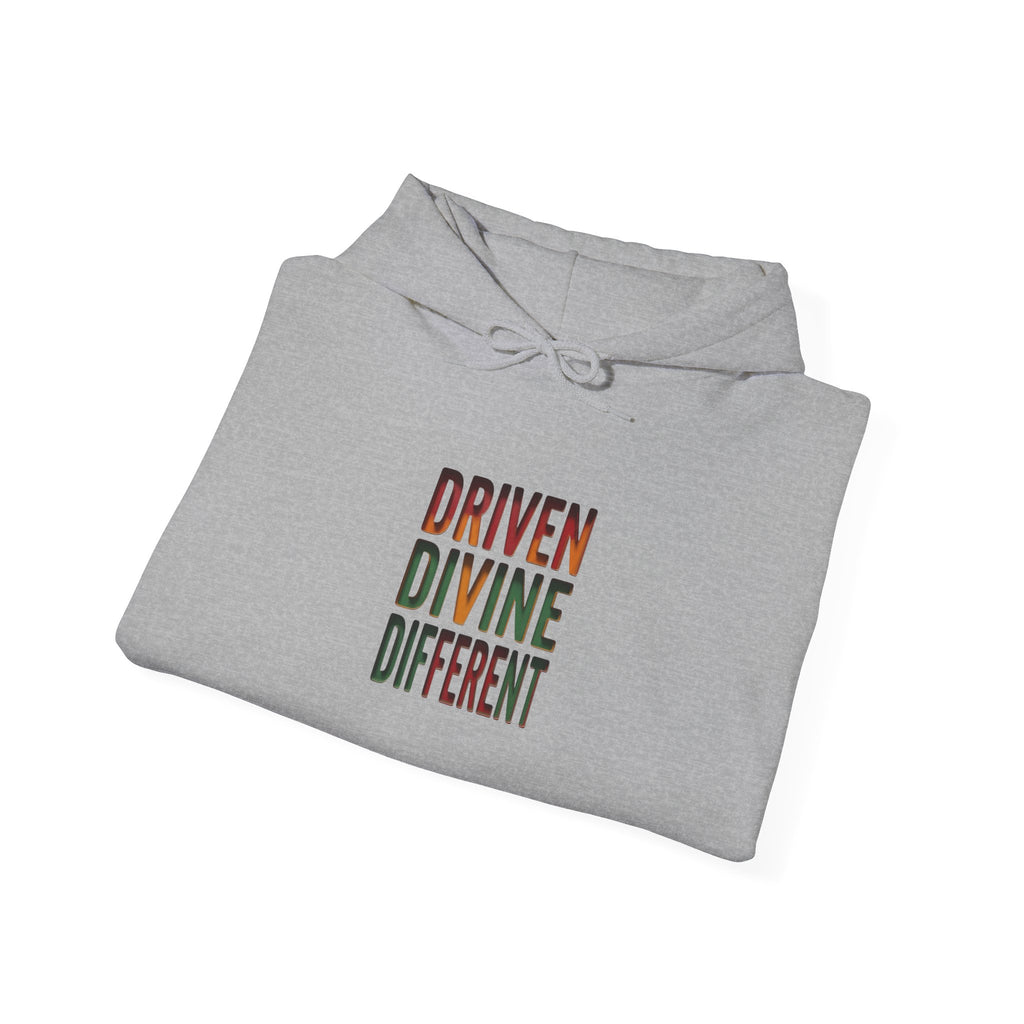 Driven Divine Different Hoodie | Juneteenth, Pan-African Colors